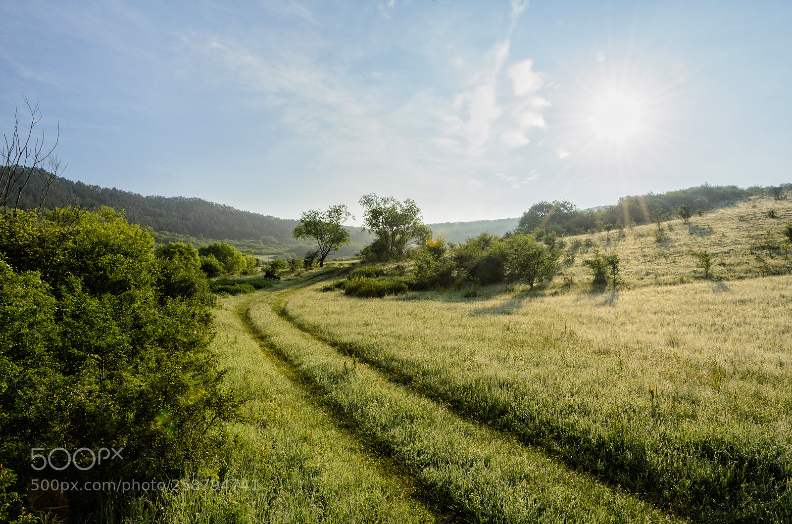Nikon D7000 sample photo. On a may morning... photography