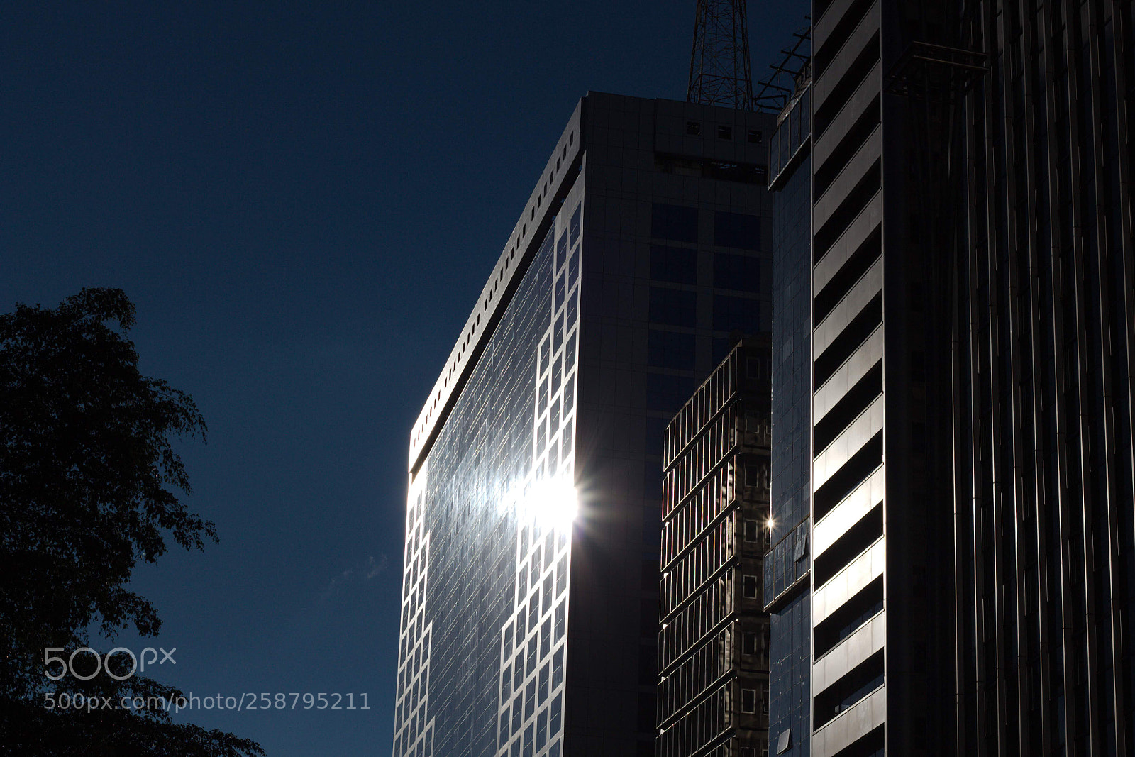 Canon EOS 650D (EOS Rebel T4i / EOS Kiss X6i) sample photo. Sunshine photography
