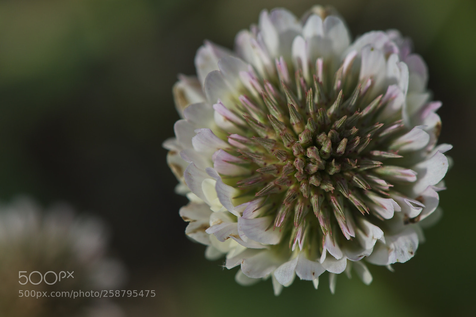 Nikon D5500 sample photo. Untitled photography