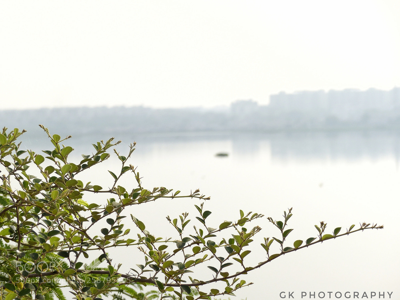 Panasonic Lumix DMC-FZ200 sample photo. Lake photography