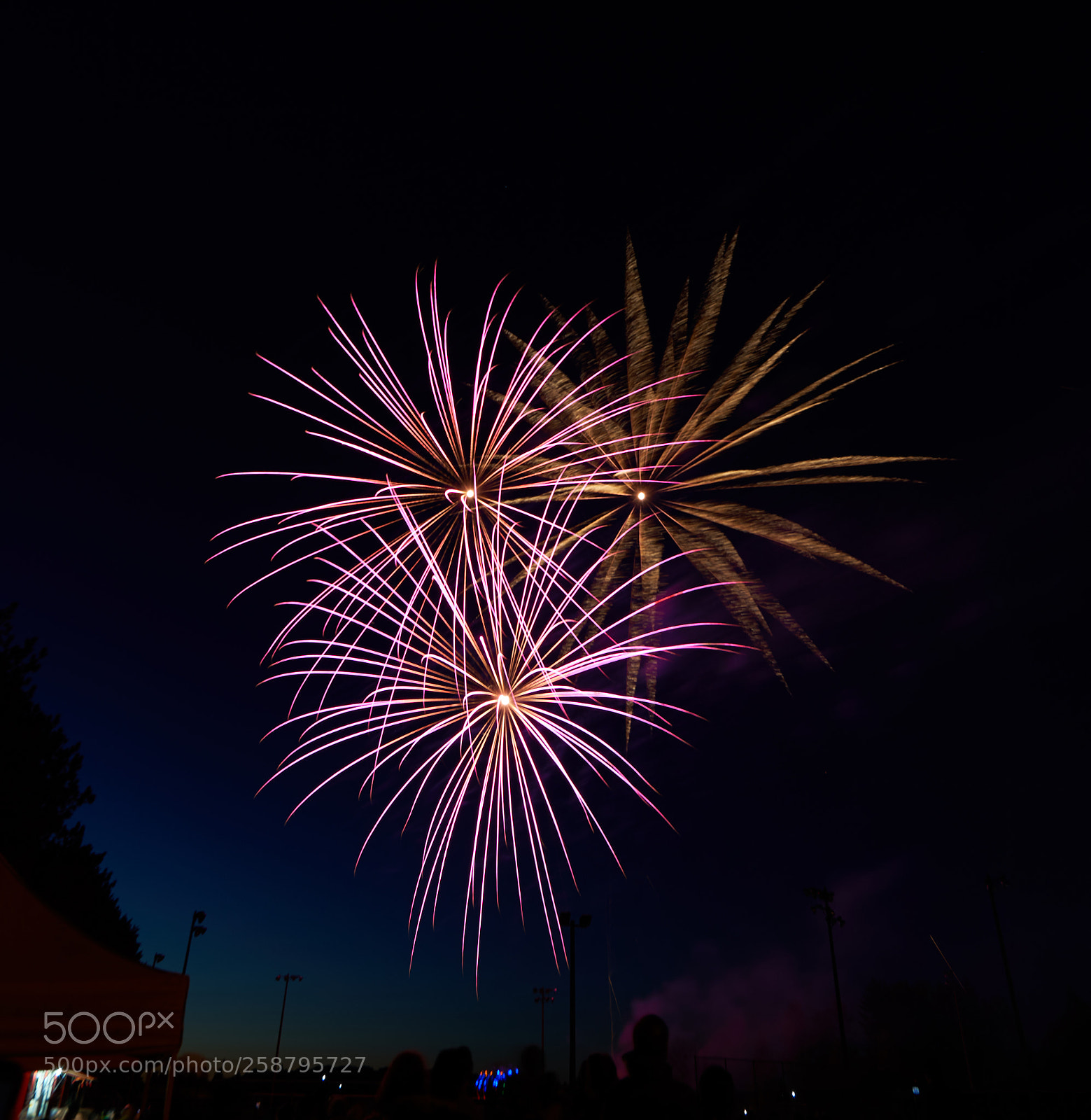 Sony a7 III sample photo. Victoria day fireworks photography