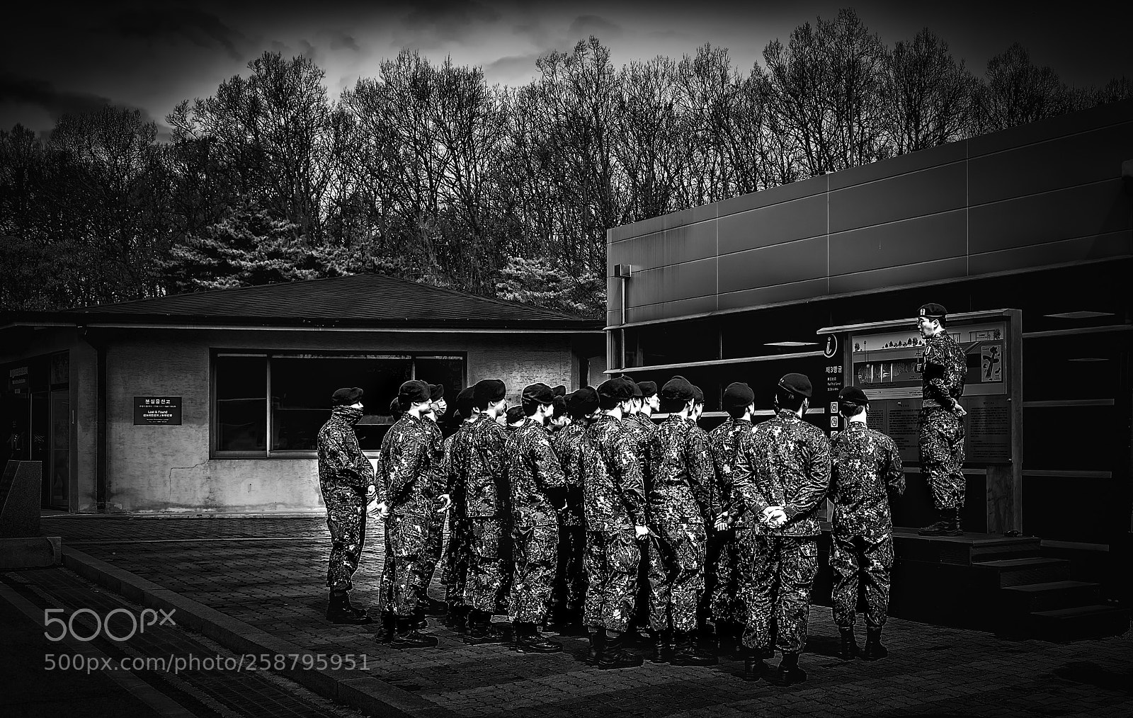 Nikon D610 sample photo. Yusuf yaran korea images photography
