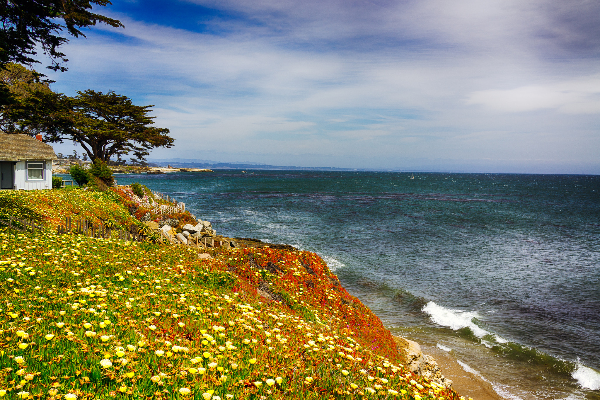 Sony Cyber-shot DSC-RX1 sample photo. Coast in santa cruz photography