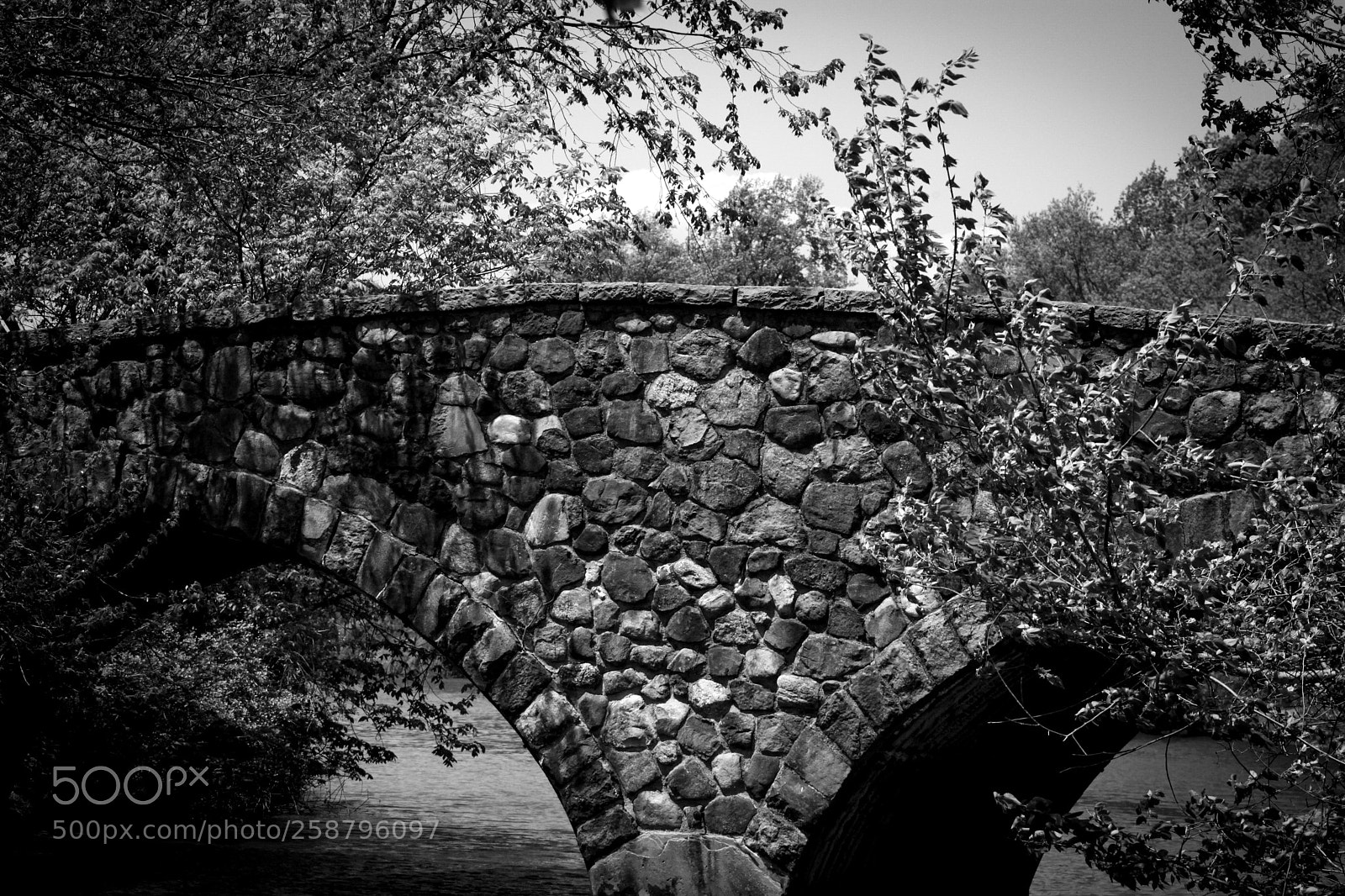Canon EOS 500D (EOS Rebel T1i / EOS Kiss X3) sample photo. Bridge at clove lakes photography