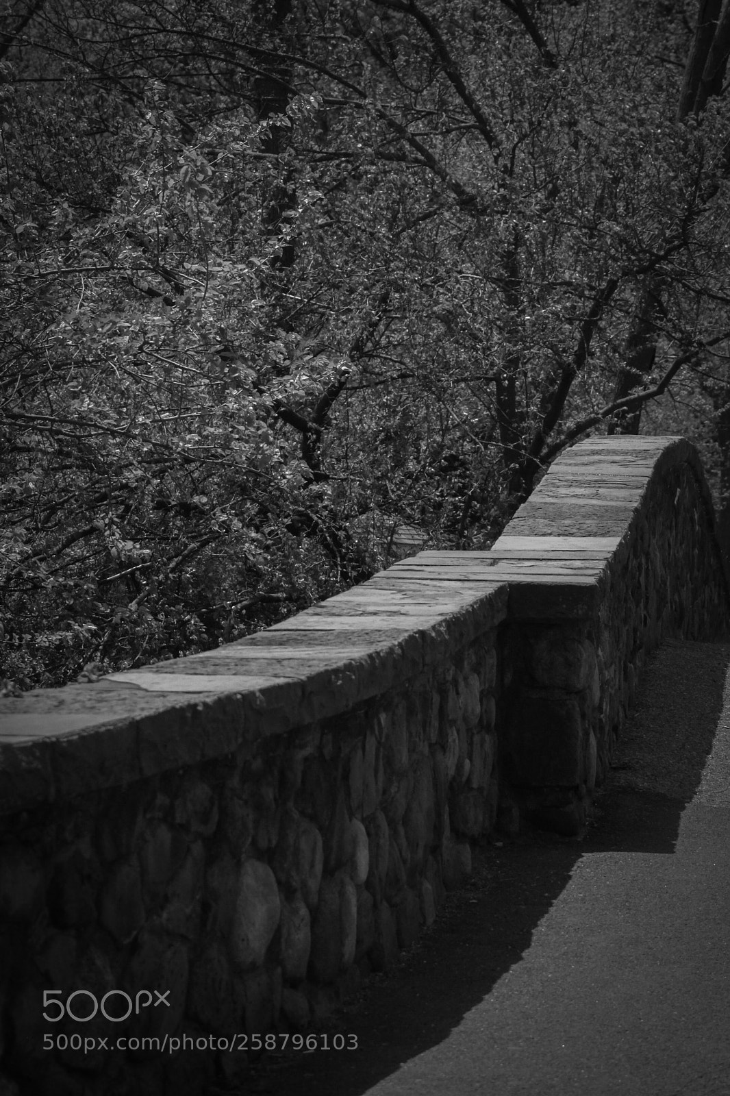 Canon EOS 500D (EOS Rebel T1i / EOS Kiss X3) sample photo. Shadows at clove lakes photography