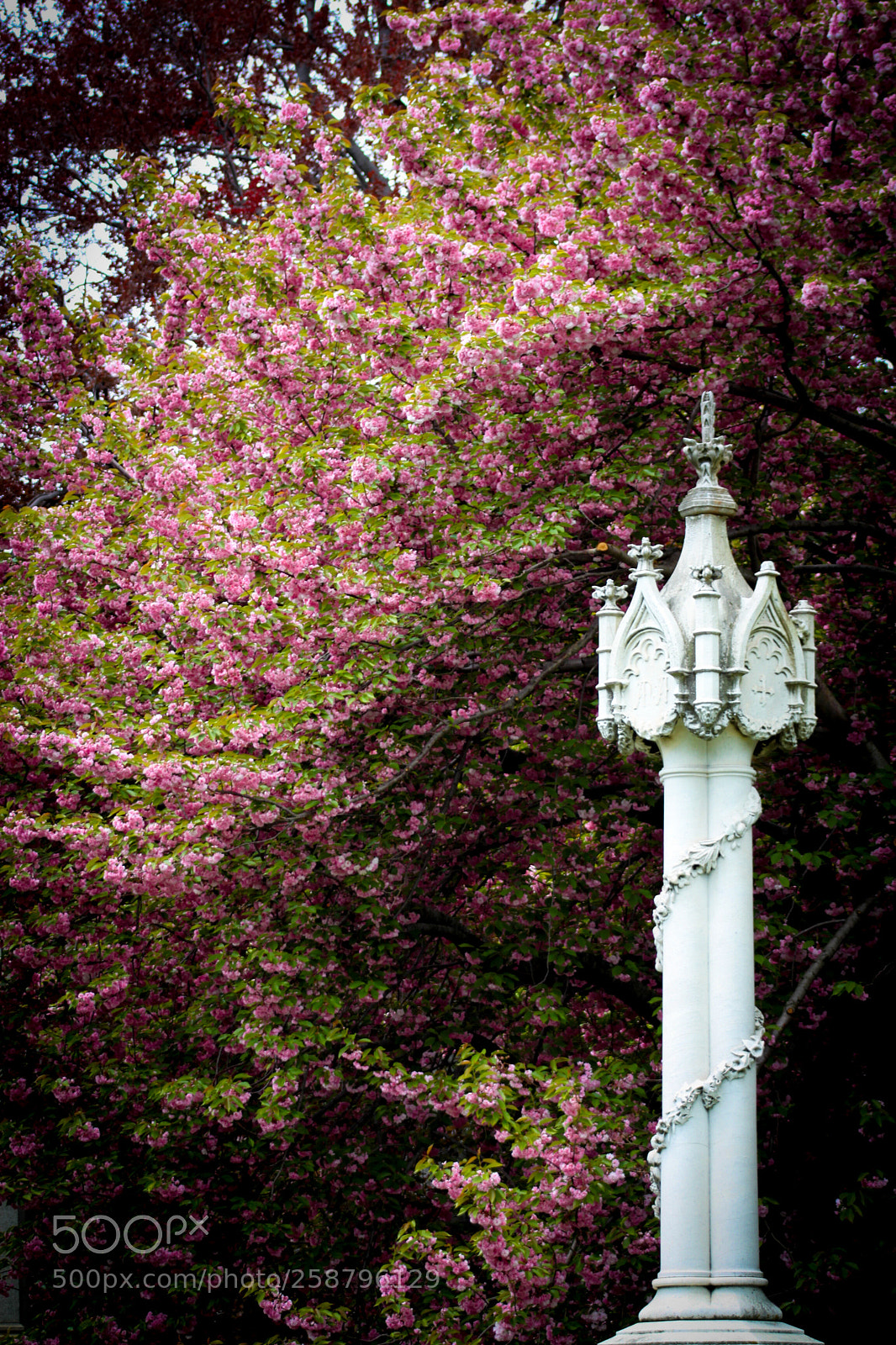 Canon EOS 500D (EOS Rebel T1i / EOS Kiss X3) sample photo. Color at greenwood photography