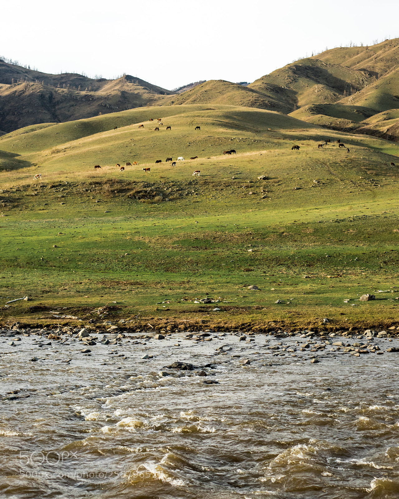 Canon EOS 6D Mark II sample photo. The altai mountains photography