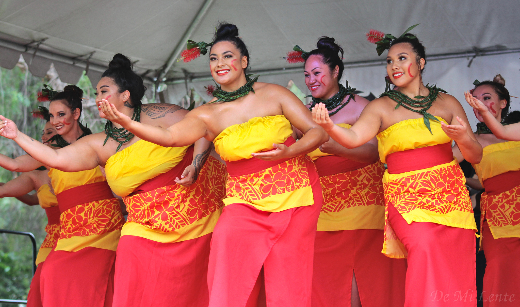 Sigma 70-200mm F2.8 EX DG OS HSM sample photo. Tupua productions photography