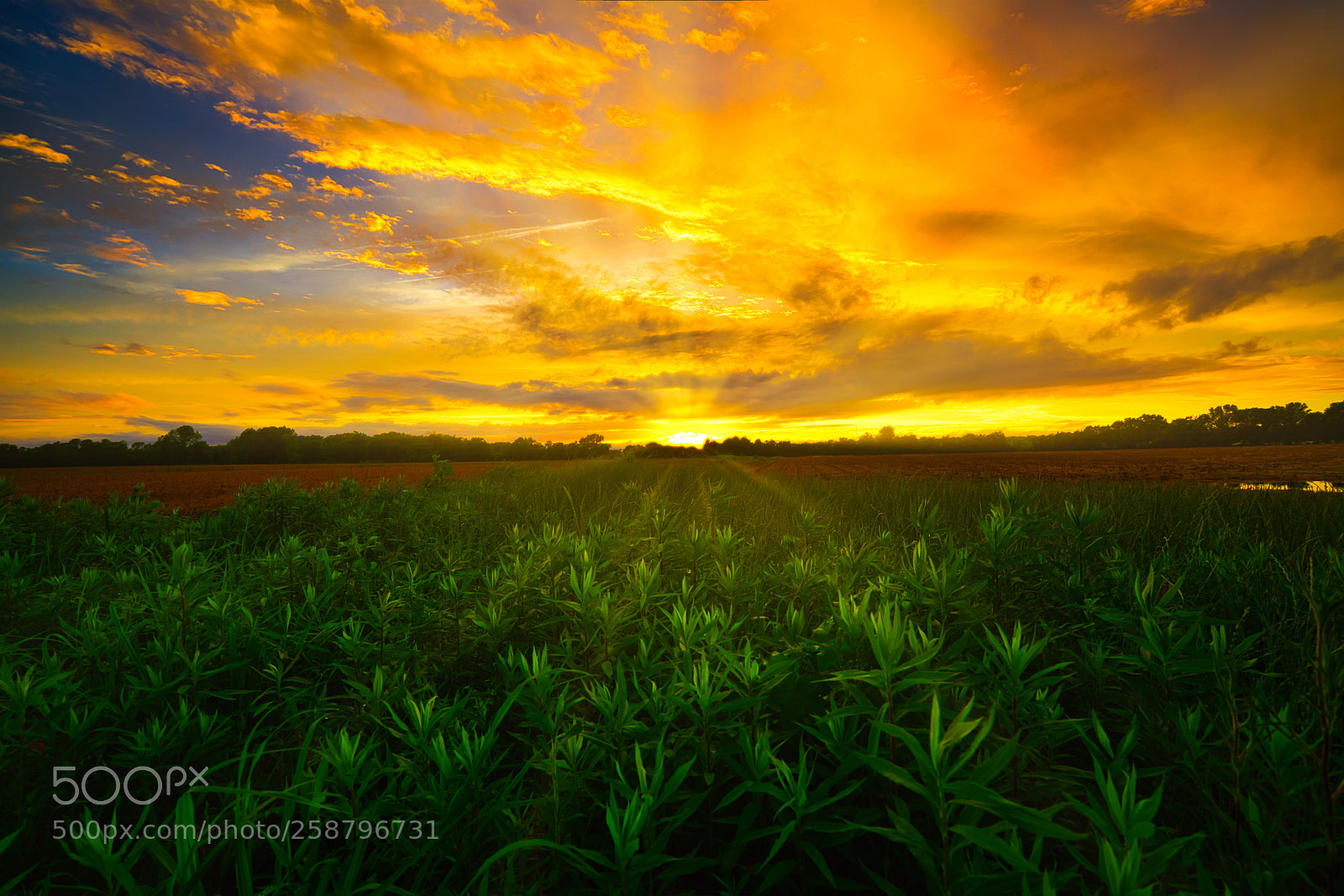 Sony a7R II sample photo. Sunset photography