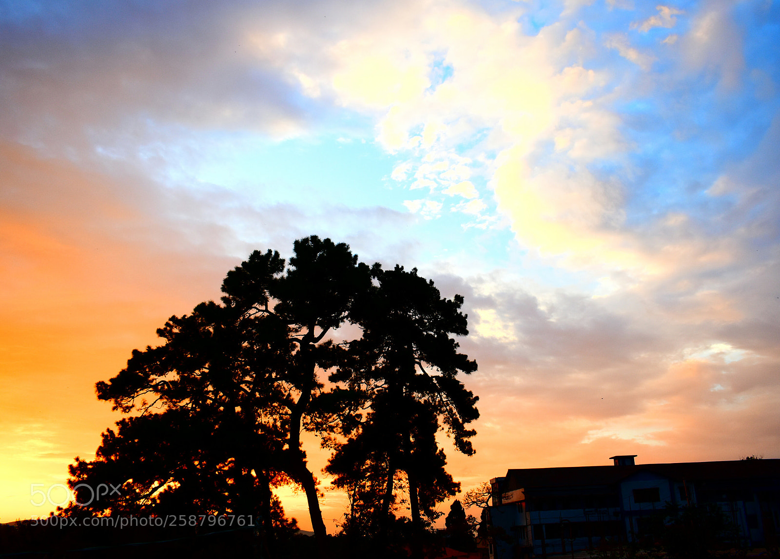 Nikon D3400 sample photo. Bright clouds in sunrise photography