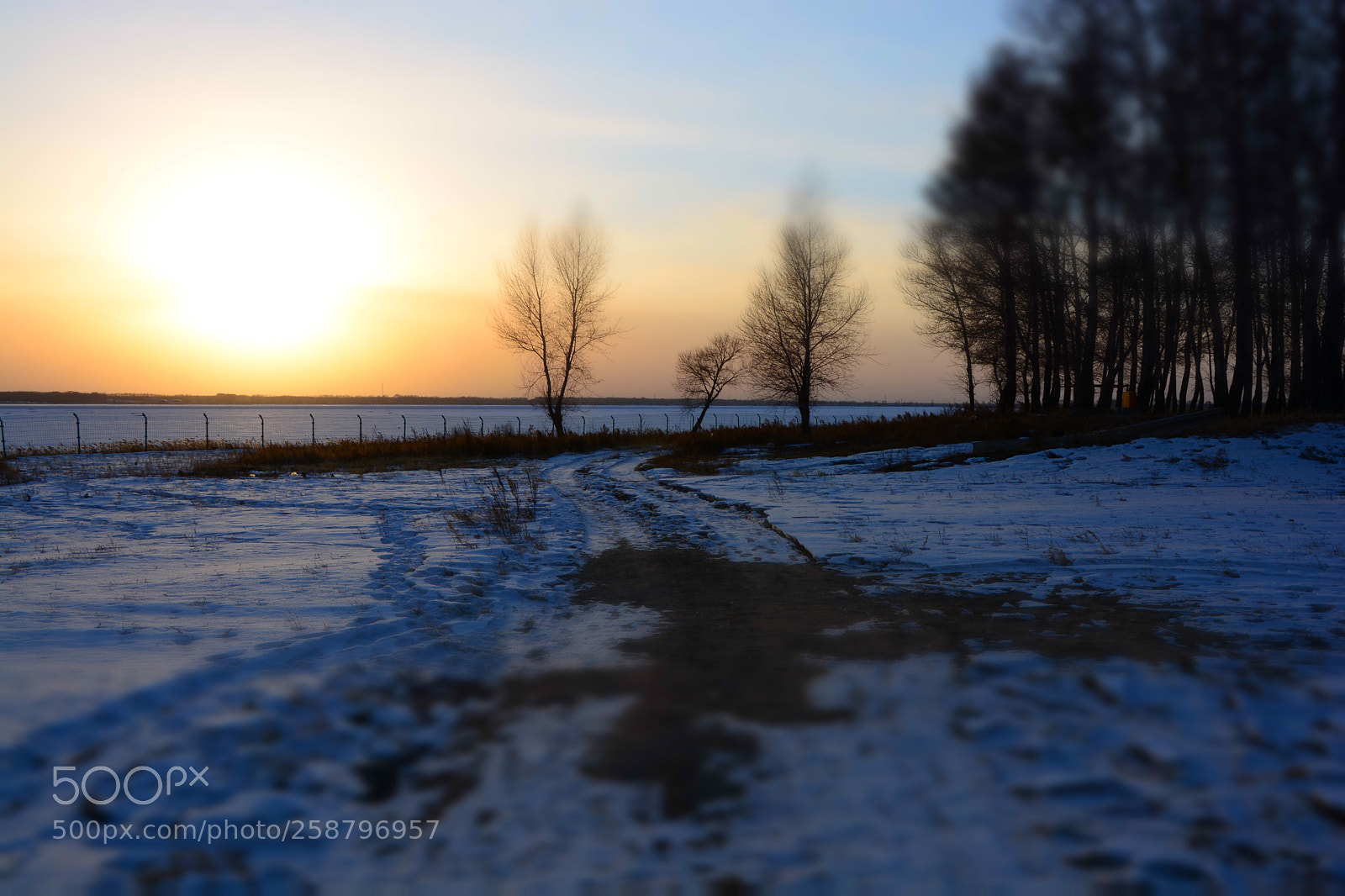 Nikon D7100 sample photo. Untitled photography