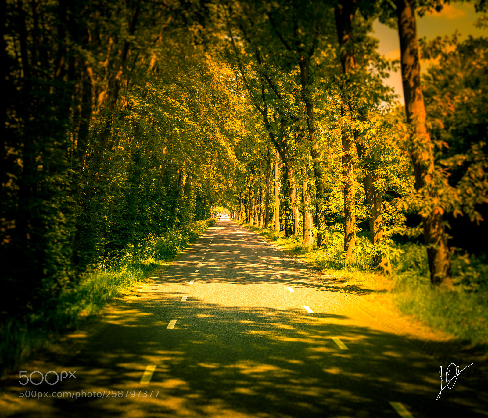 Nikon D3400 sample photo. Untitled photography