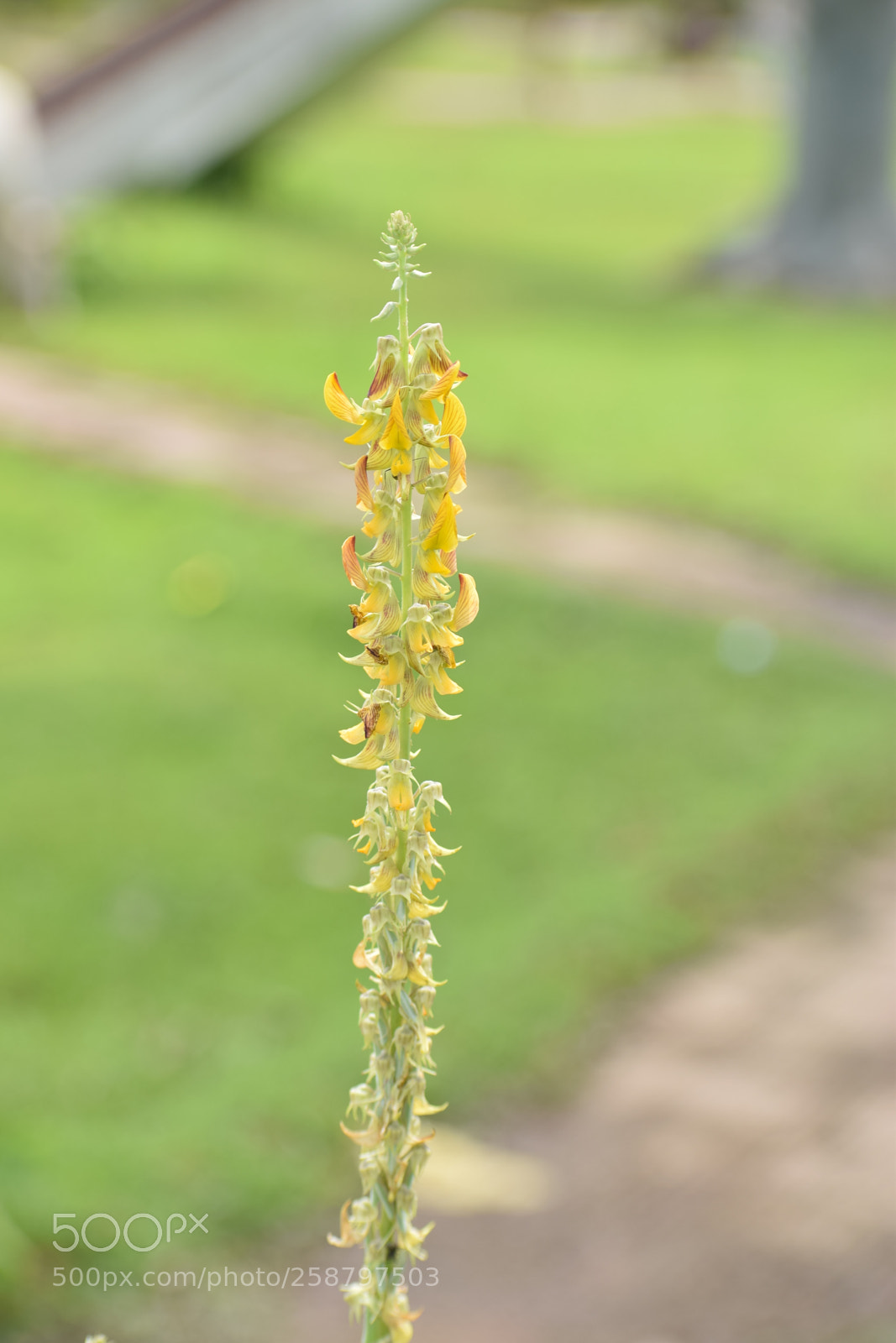 Nikon D3300 sample photo. Untitled photography