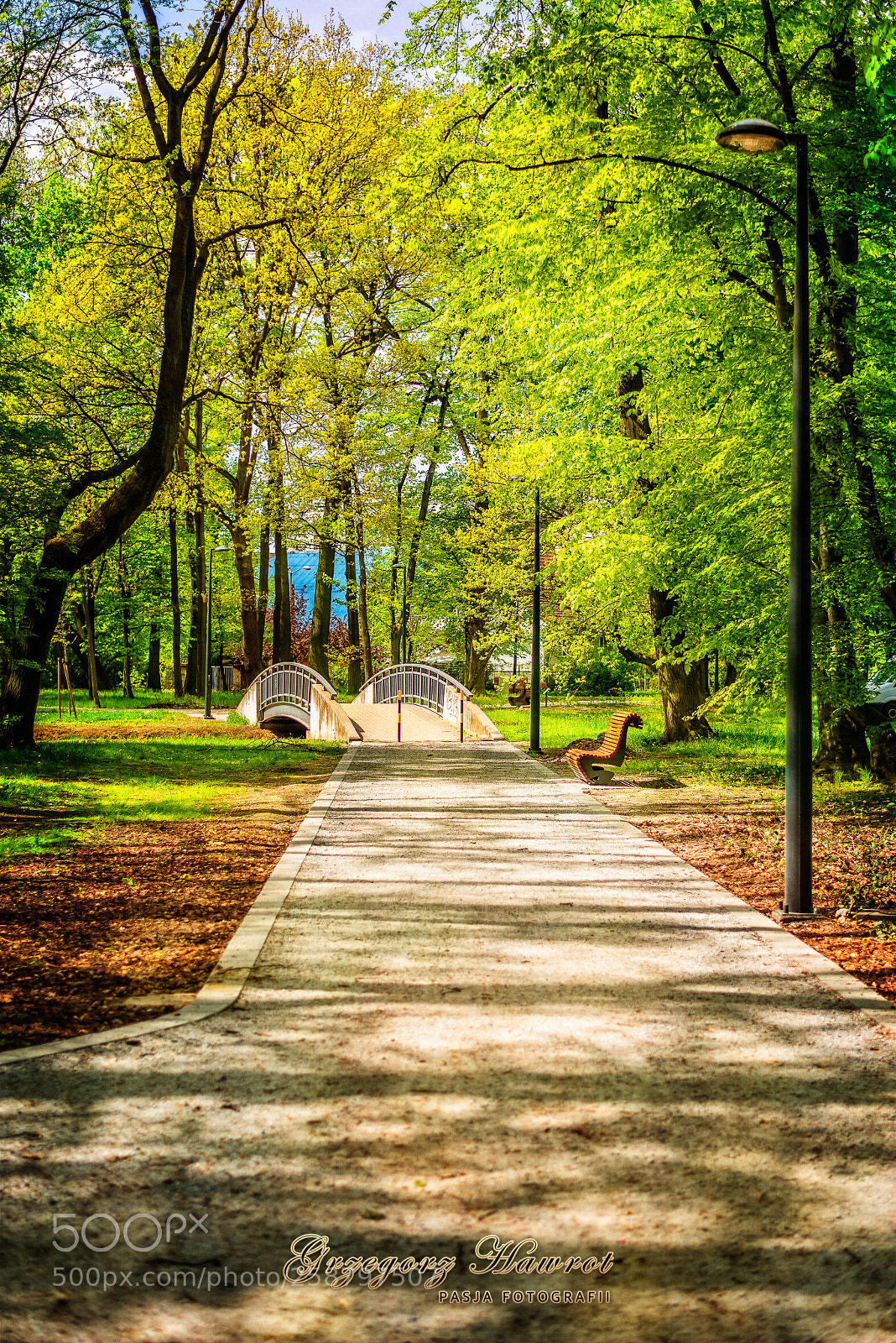 Nikon D800 sample photo. Park chrobrego w gliwicach. photography