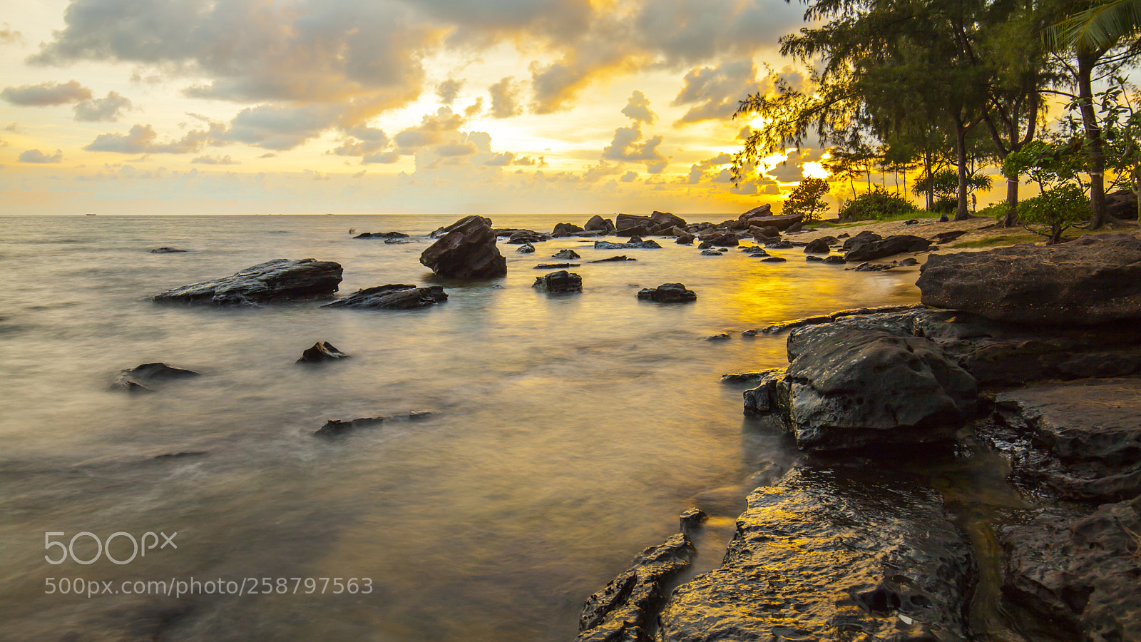 Canon EOS 5D Mark II sample photo. Golden evening on the photography