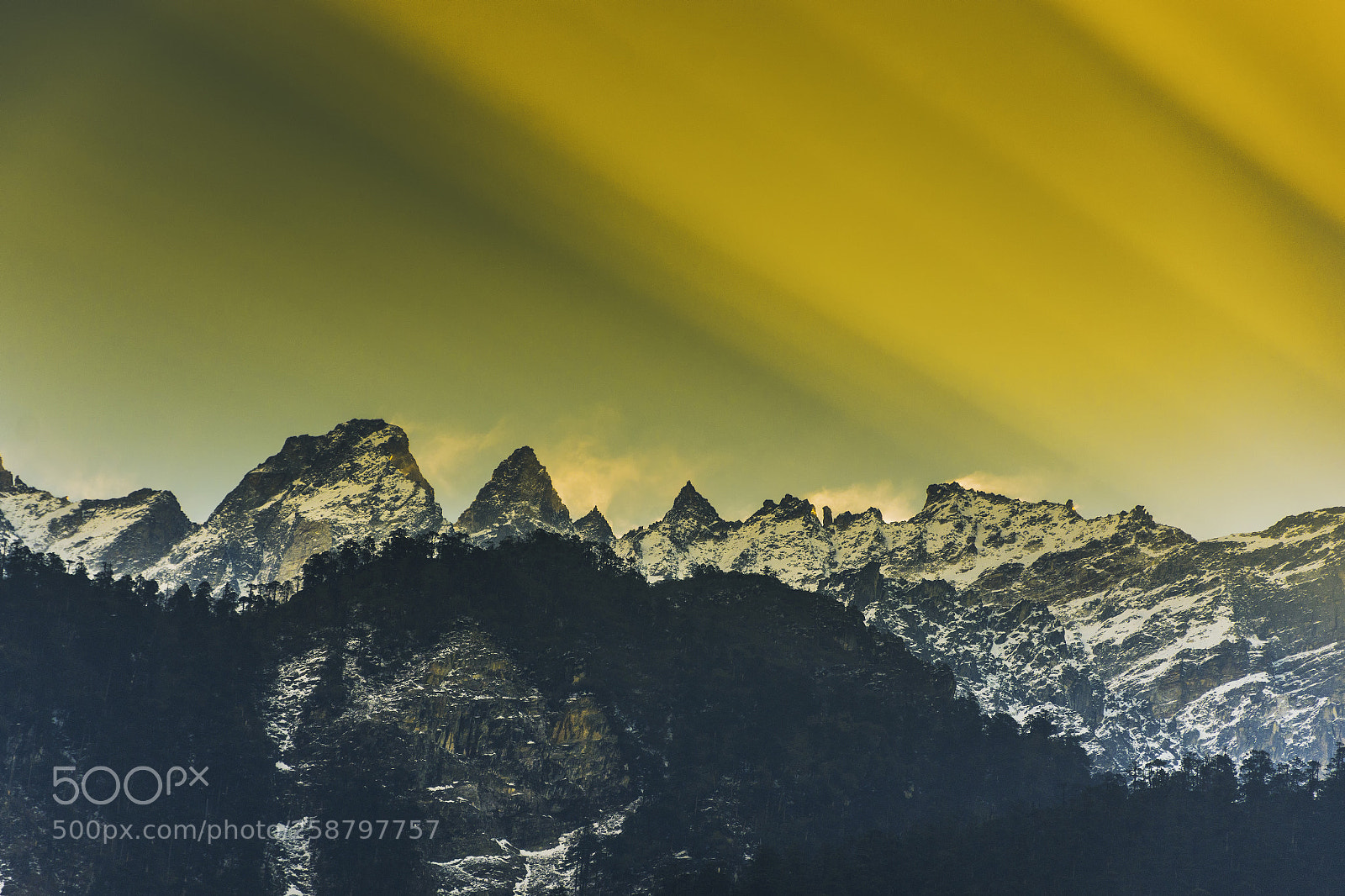 Nikon D7200 sample photo. Lachung photography