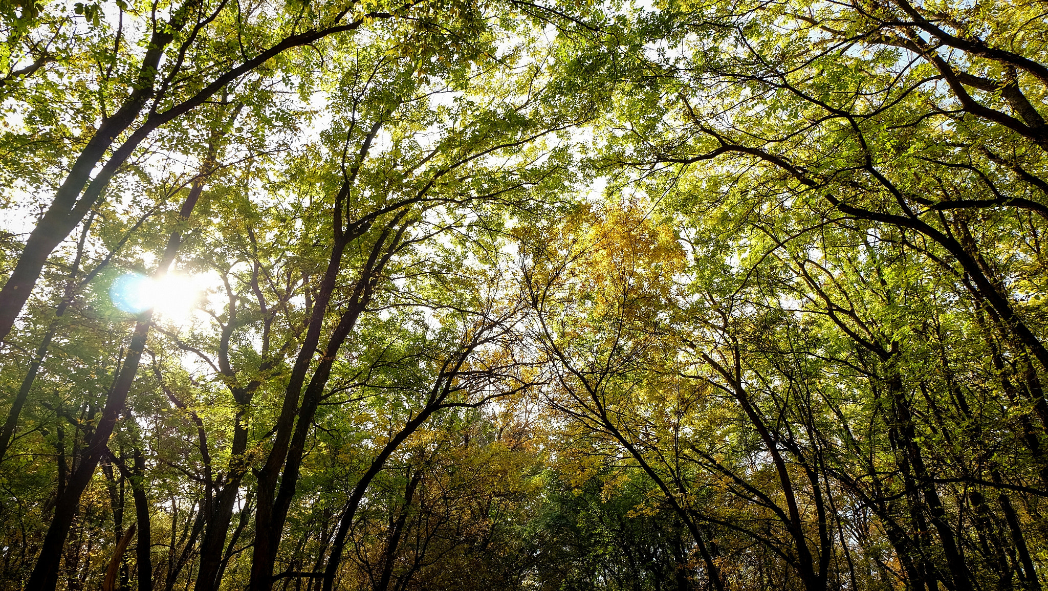 Fujifilm X-A1 sample photo