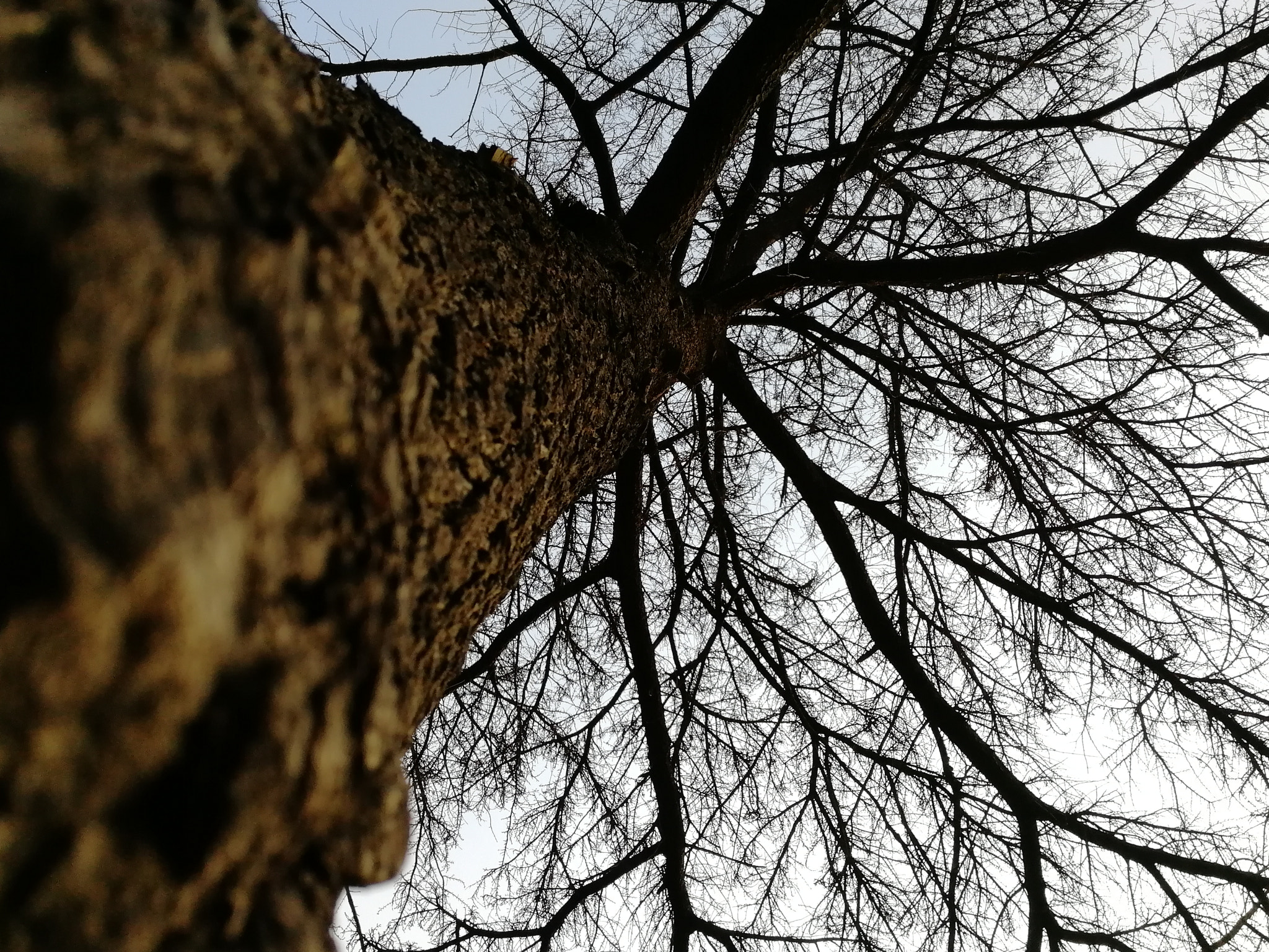 HUAWEI Honor 9 sample photo. Touch sky photography