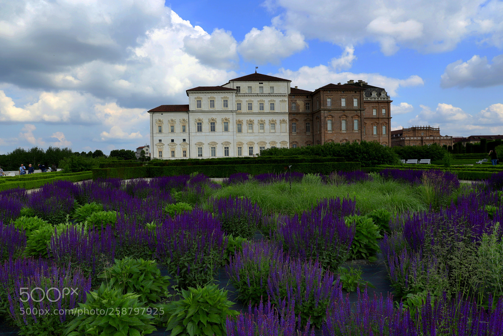 Canon EF 24-70mm F4L IS USM sample photo. Reggia di venaria reale photography