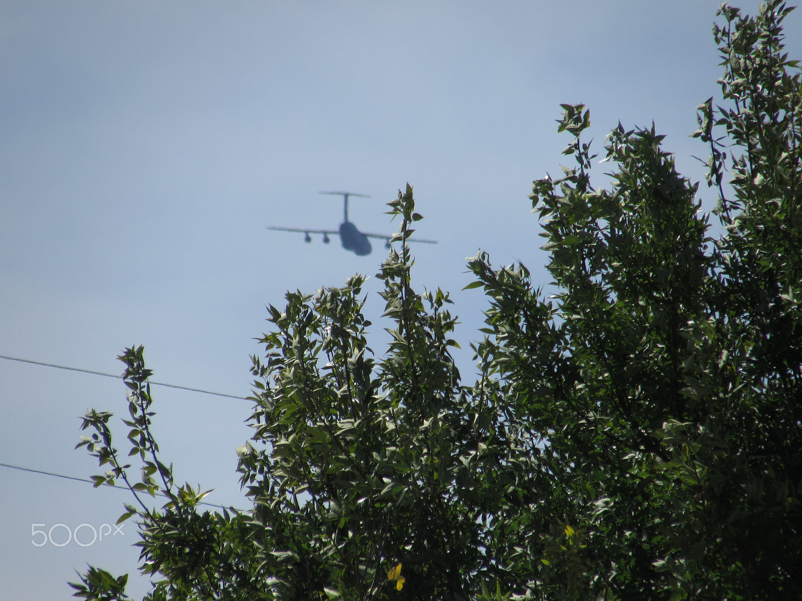 Canon PowerShot SX510 HS sample photo. Plane passing trees photography