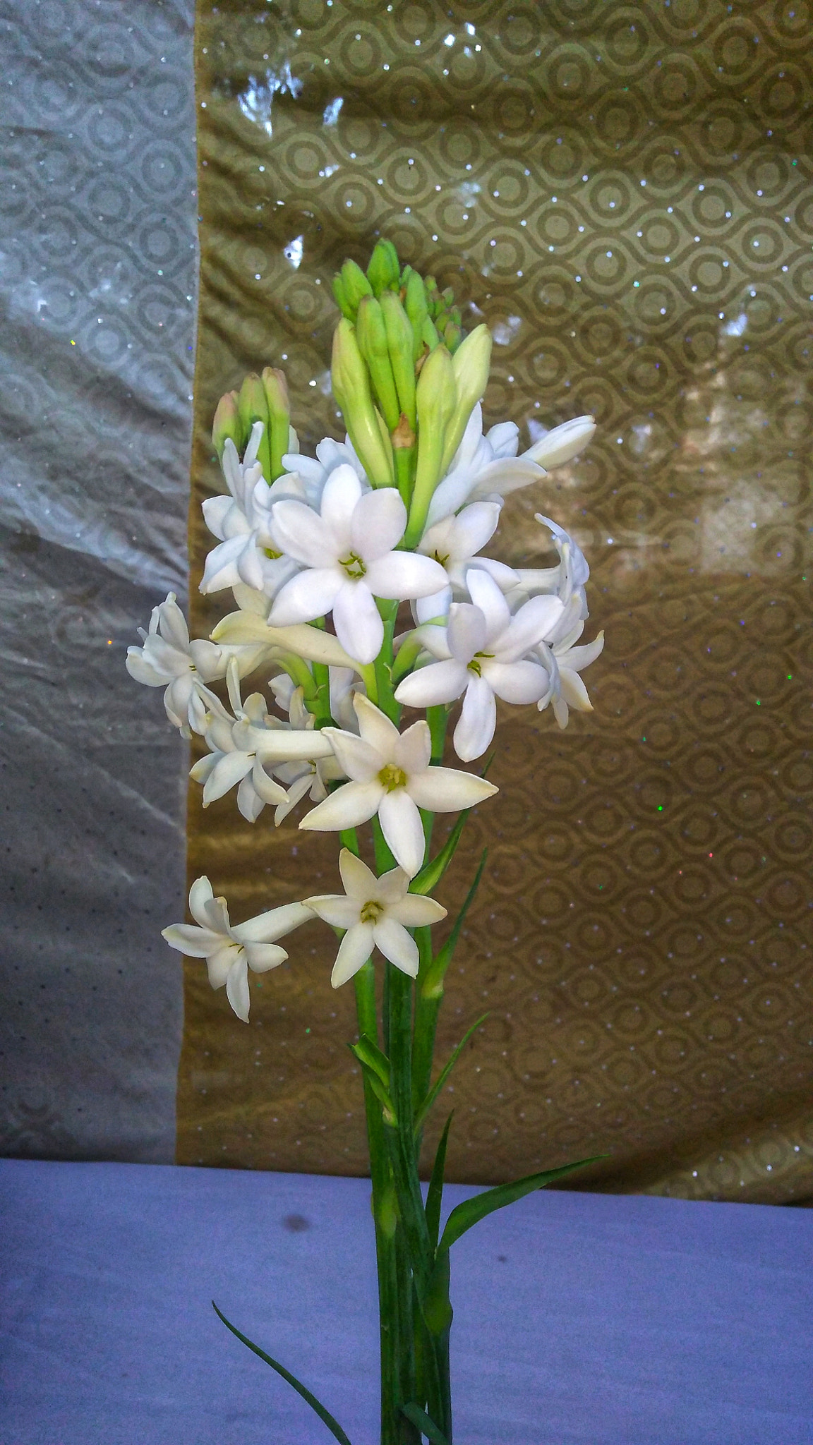 Motorola Moto G (5S) Plus sample photo