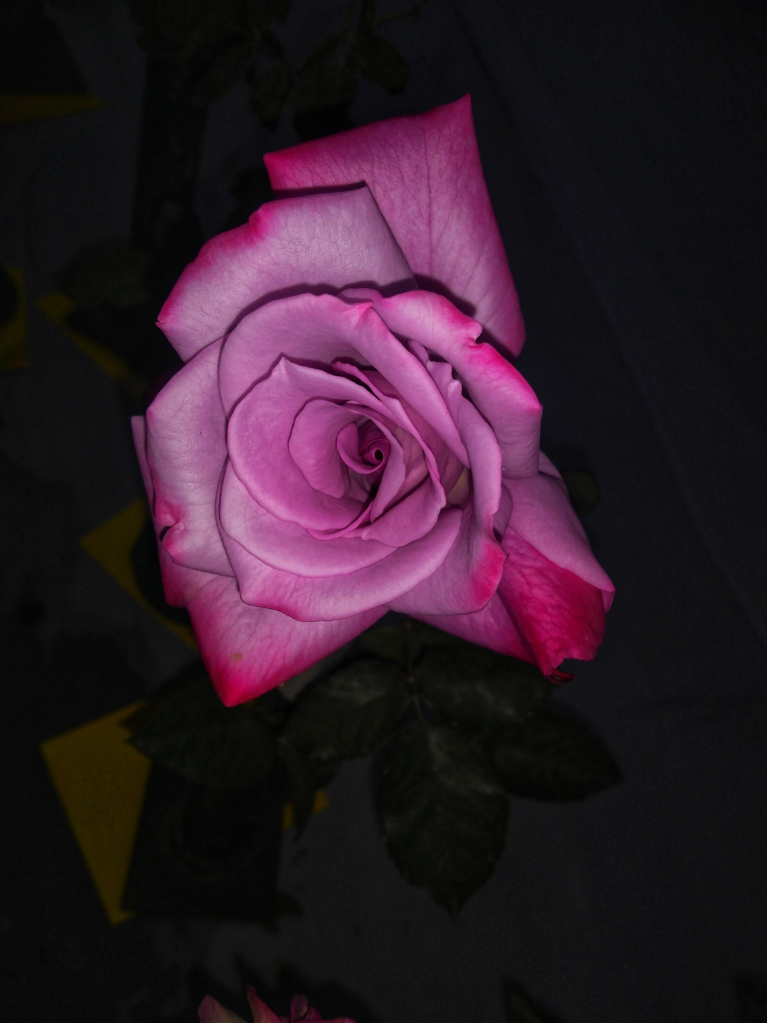 Motorola Moto G (5S) Plus sample photo