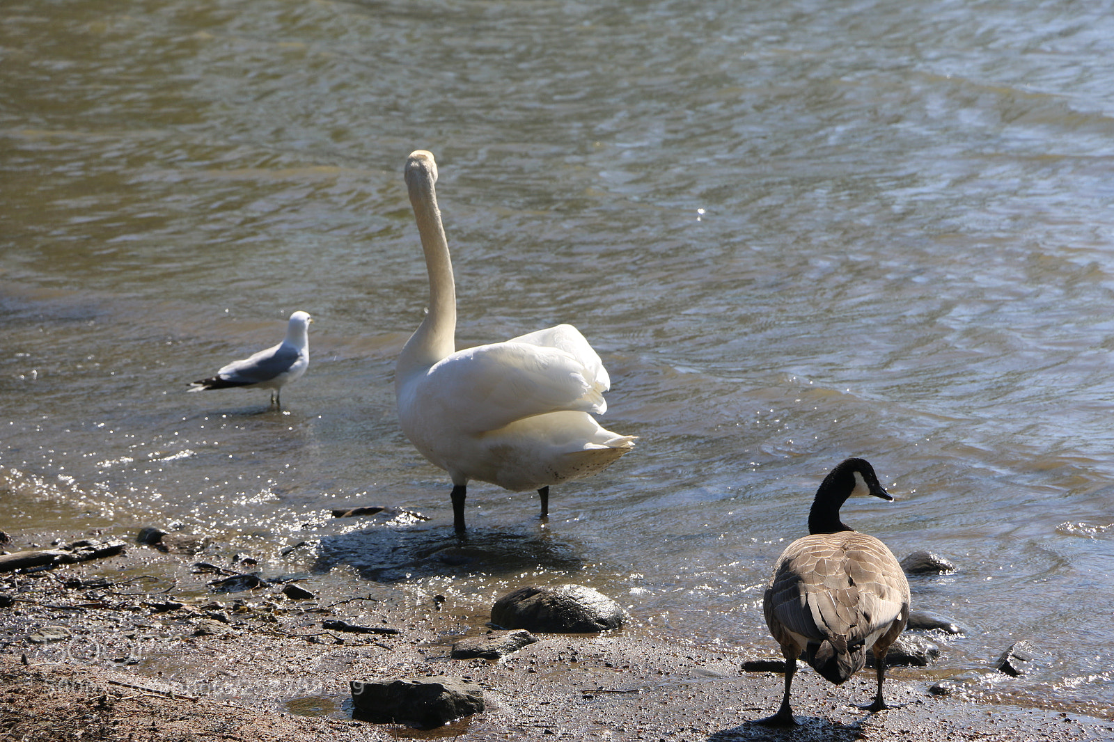 Canon EOS 70D sample photo. Img photography