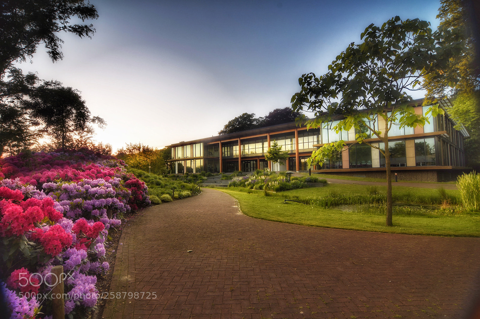 Nikon D7200 sample photo. Gemeentehuis brummen photography