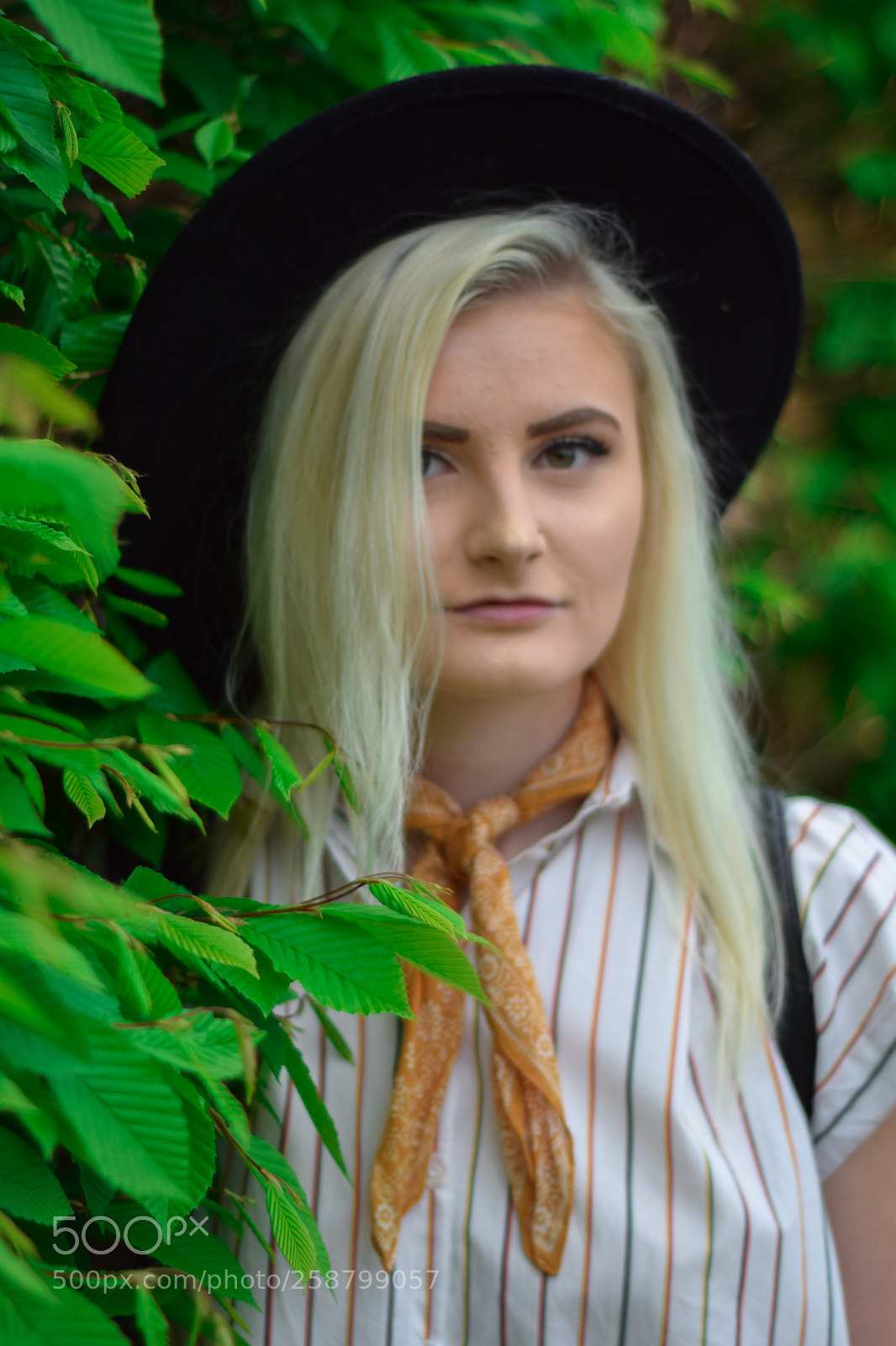 Nikon D3300 sample photo. Blogger  photography