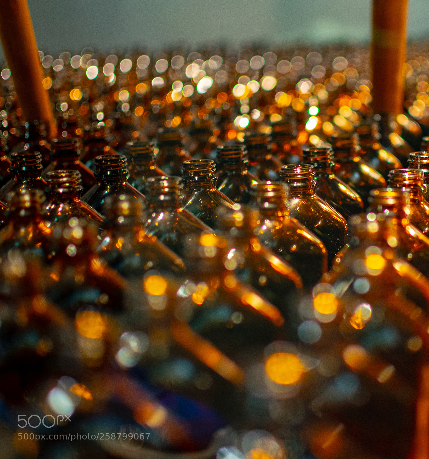Nikon D5300 sample photo. Apothecary bottles photography