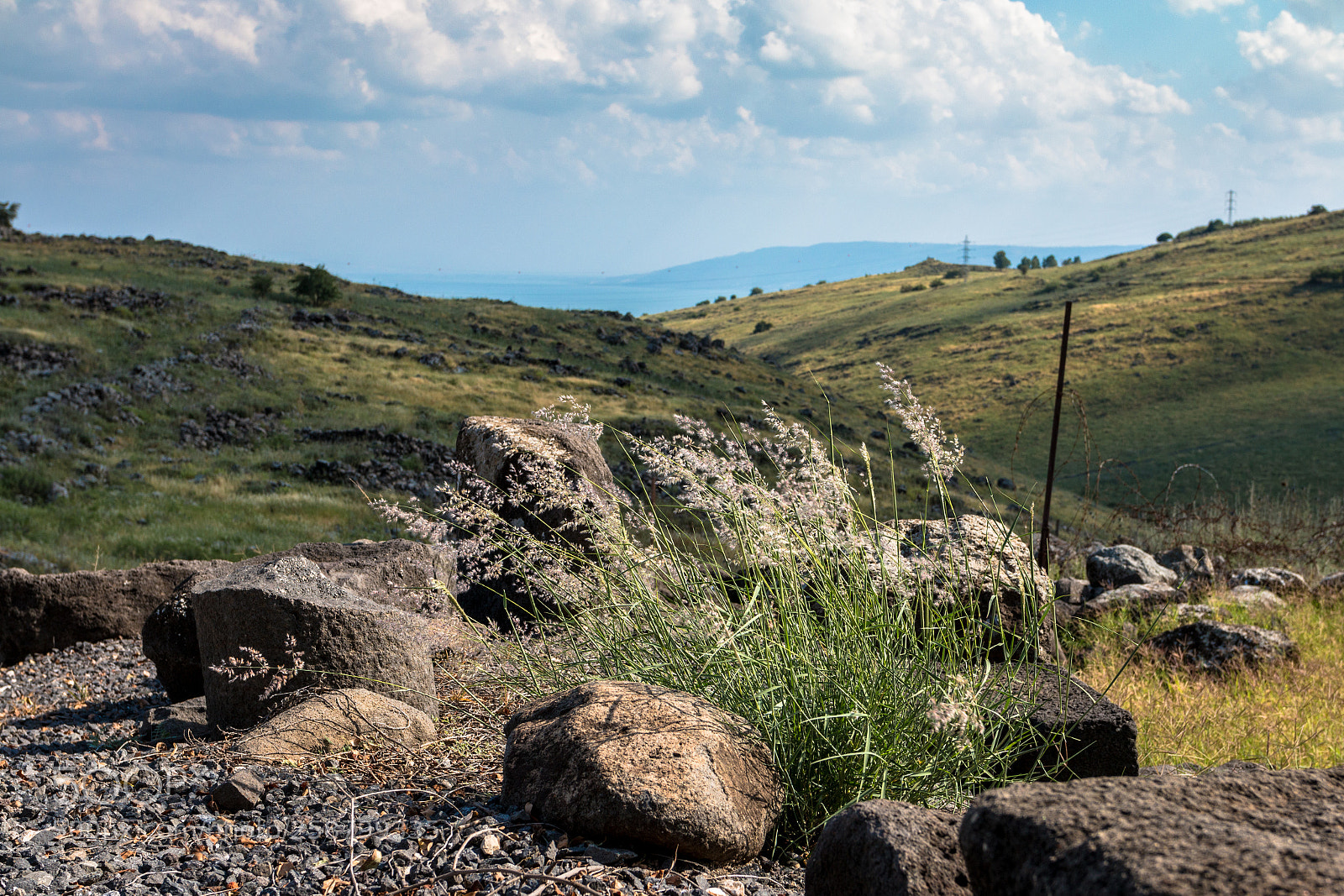 Canon EOS 70D sample photo. Korazim, israel photography