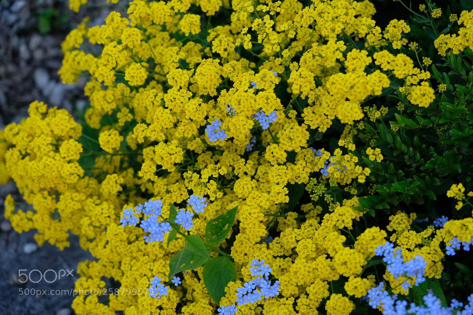 Fujifilm X-E3 sample photo. Feel photography