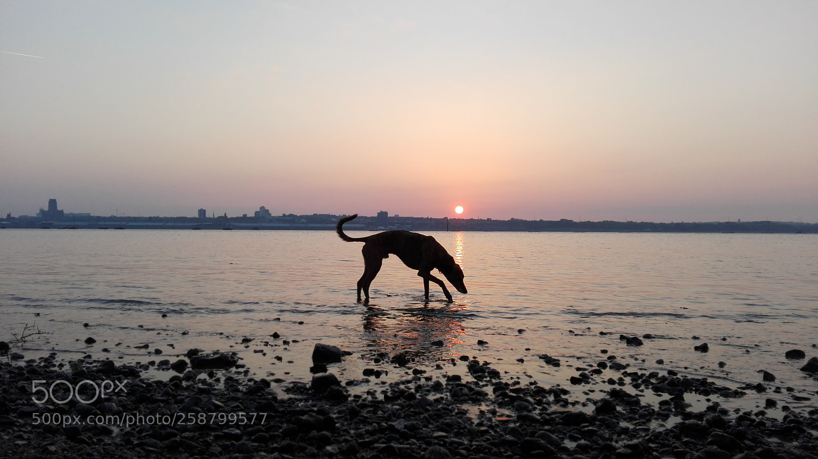 HUAWEI P8 Lite sample photo. Dodge at dawn photography