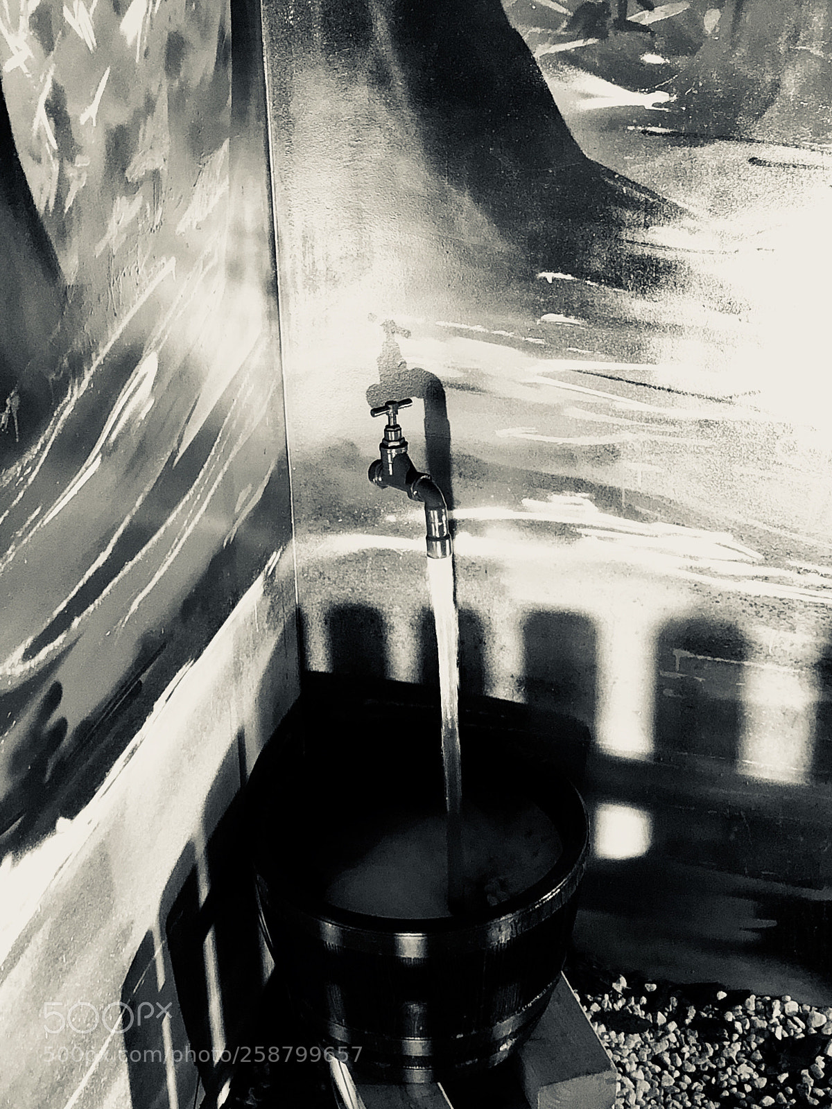 Apple iPhone 8 Plus sample photo. Untitled photography