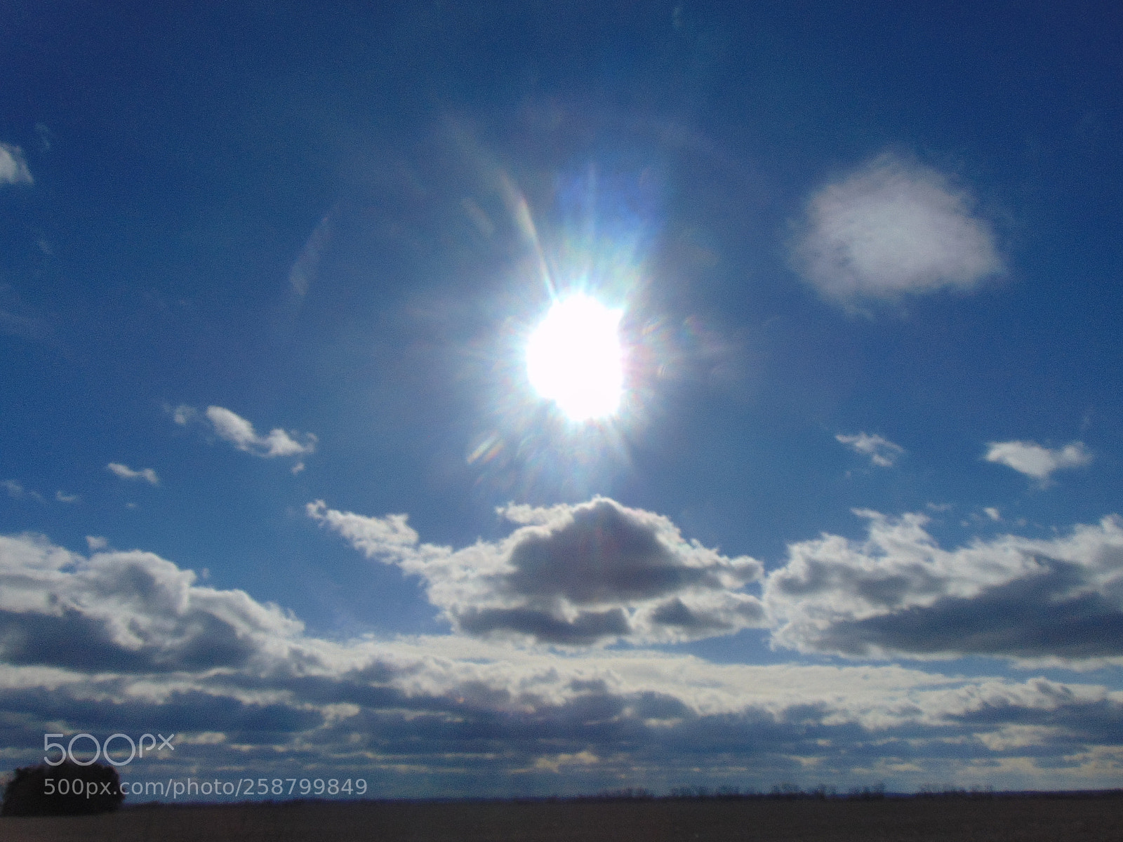 Sony Cyber-shot DSC-H300 sample photo. 012.jpg photography