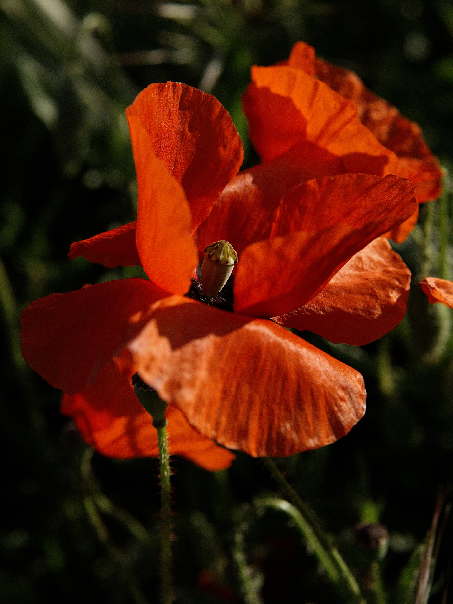 Panasonic Lumix DC-GX9 sample photo. Le printemps sur les parkings photography