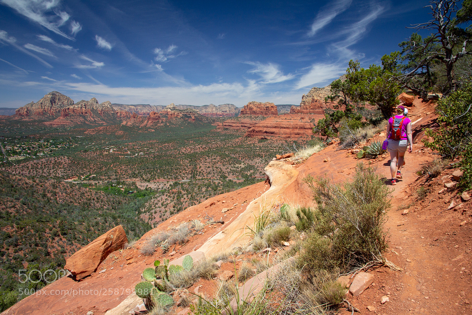 Canon EOS 60D sample photo. Deserts can be green photography