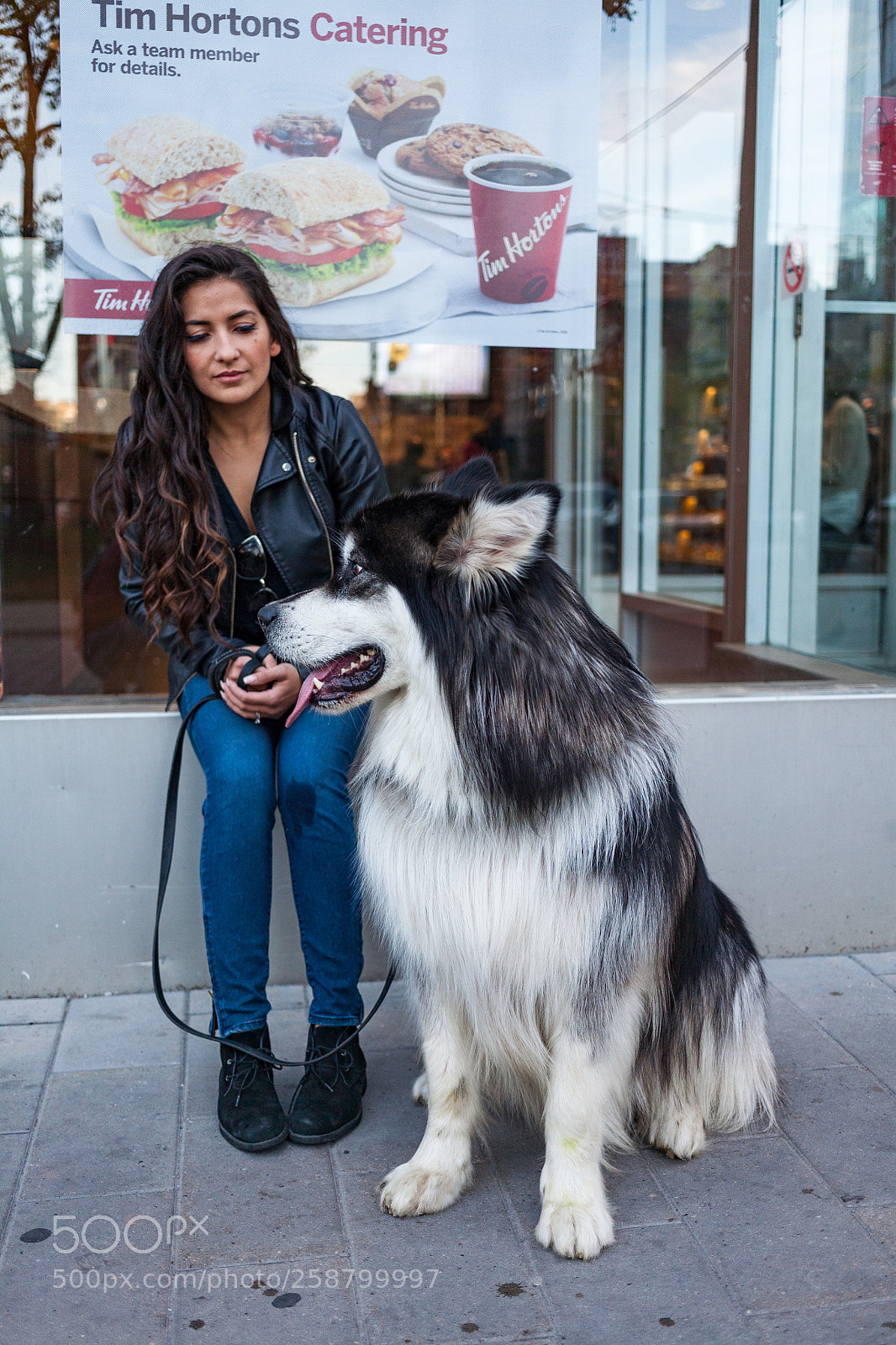 Canon EOS 5D sample photo. Fluffy doggo photography