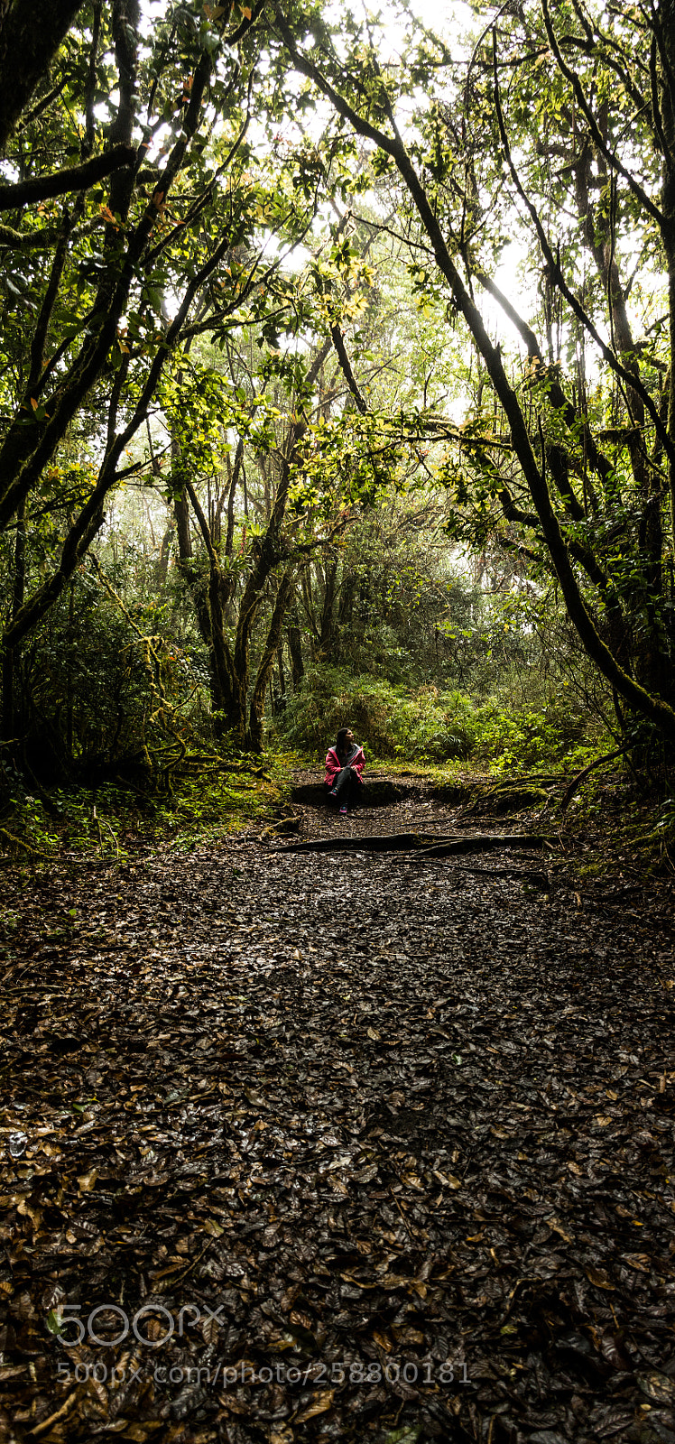 Nikon D7100 sample photo. End of the road? photography