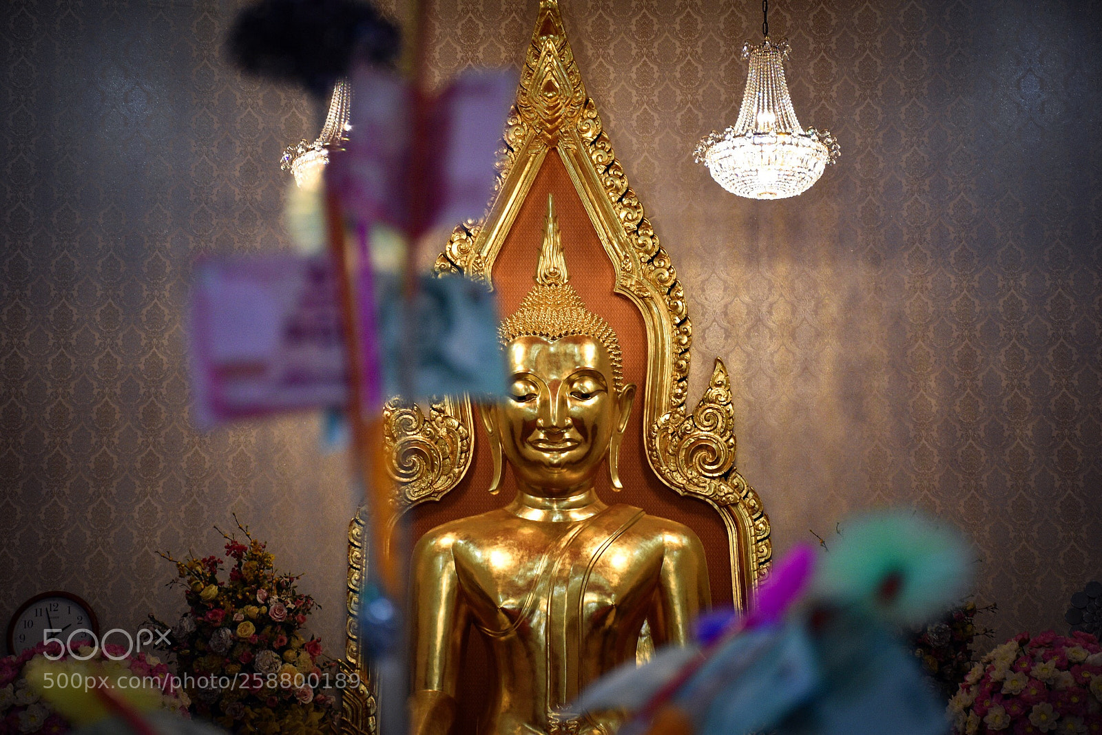 Nikon D5600 sample photo. Untitled photography
