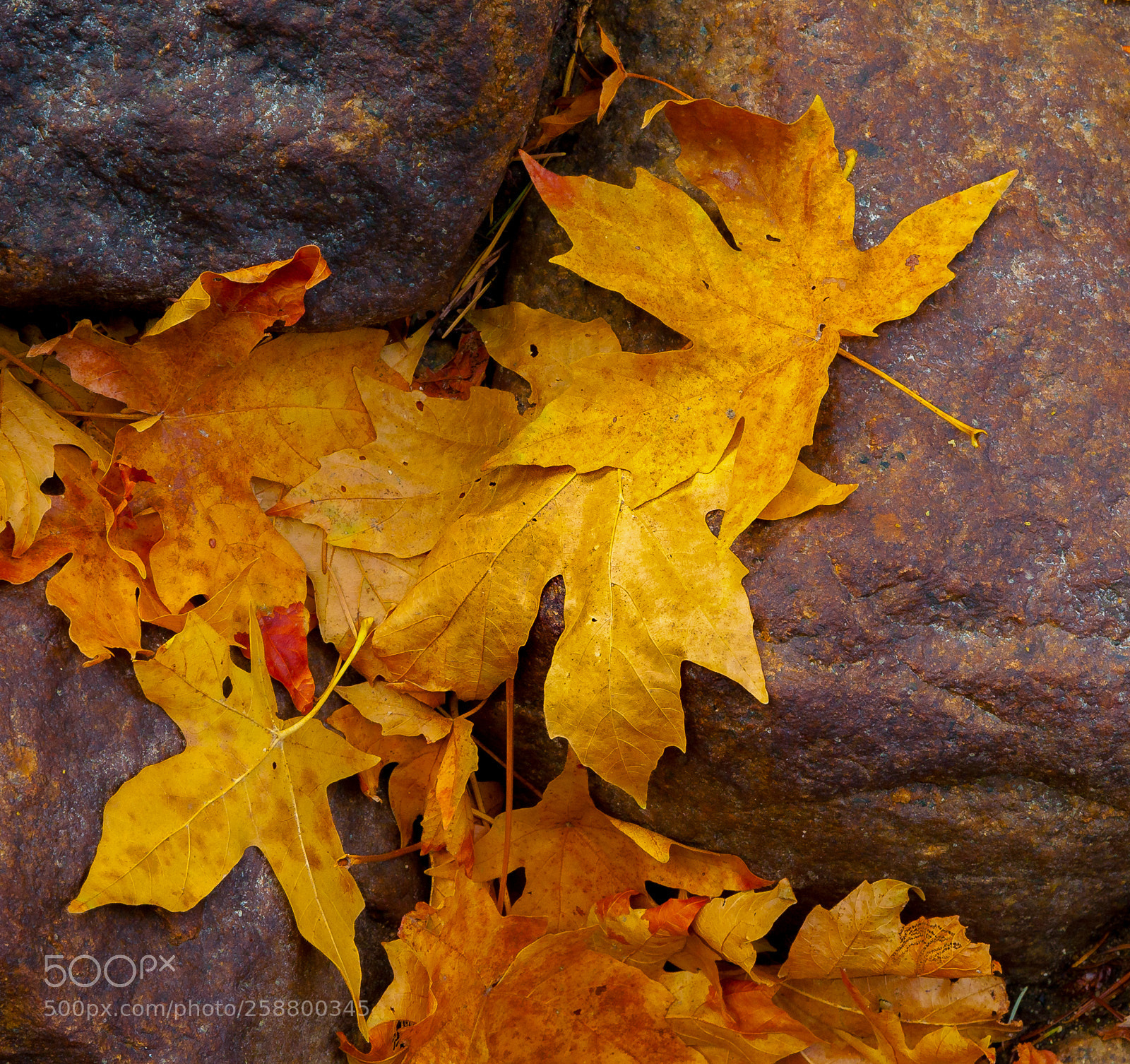 Canon EOS 5D sample photo. Yosemite photography