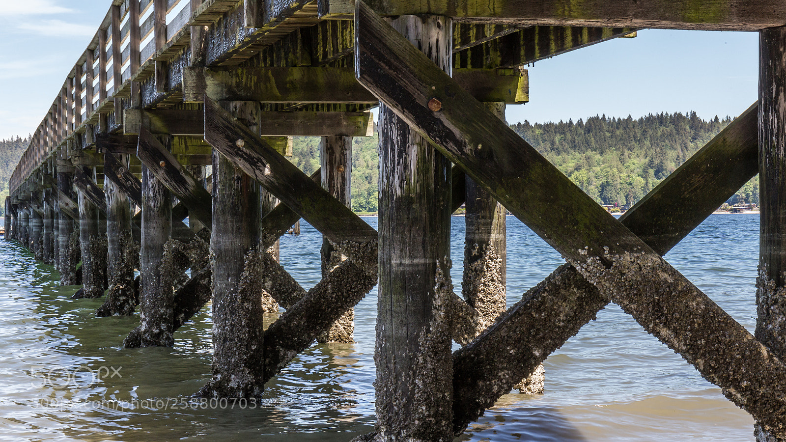 Canon EOS 6D sample photo. Geometric sequence photography