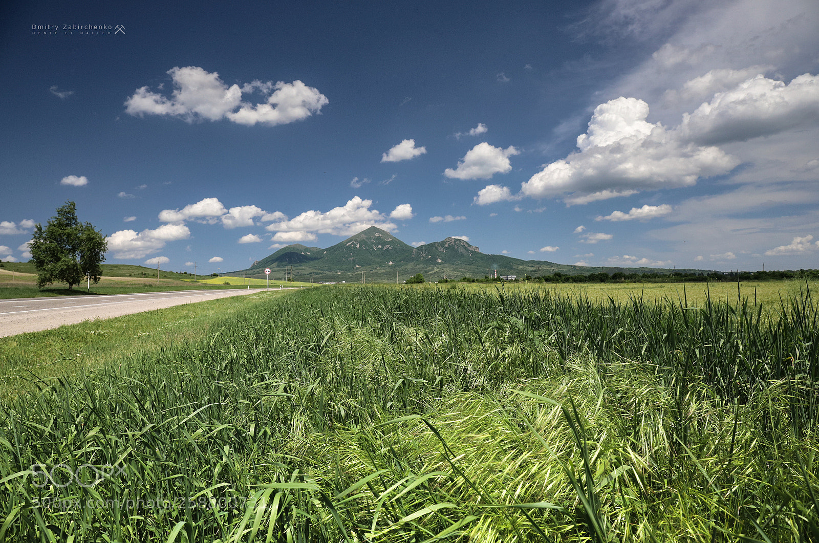 Canon EOS 6D Mark II sample photo. Green and blue photography