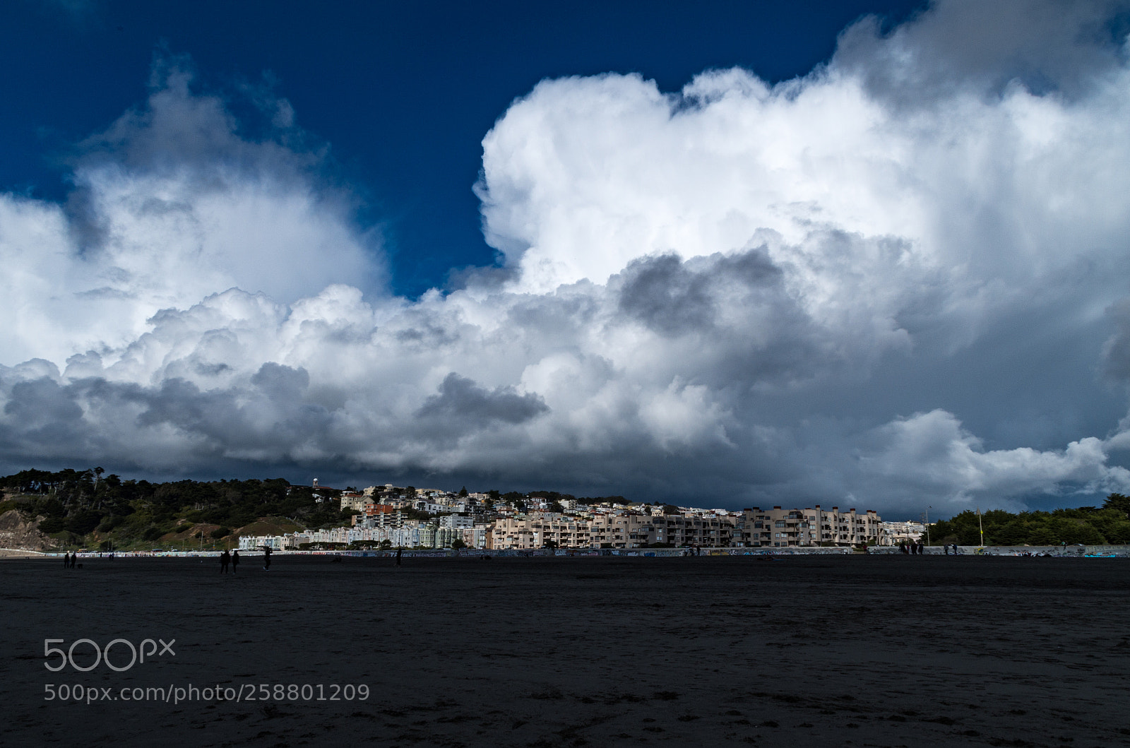 Pentax K-50 sample photo. Sutro heights photography