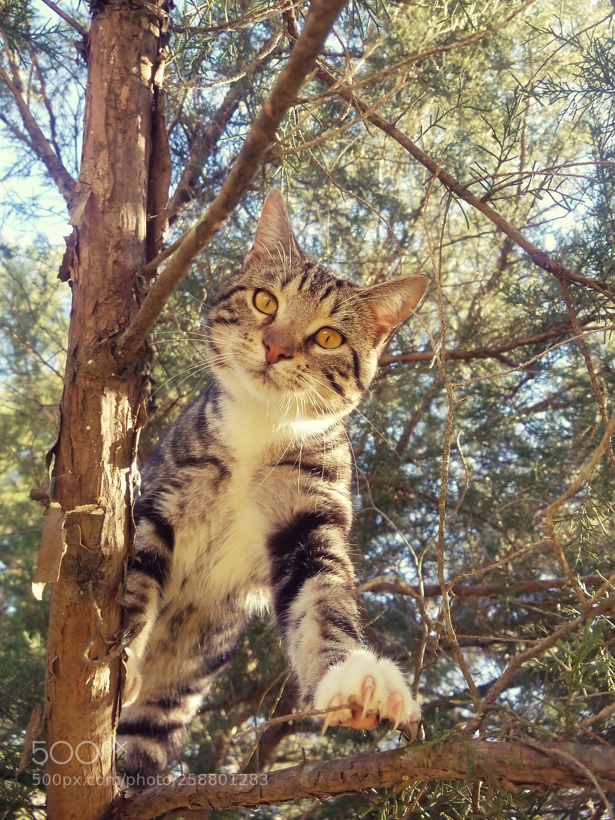 Samsung Galaxy S8 sample photo. Untitled photography