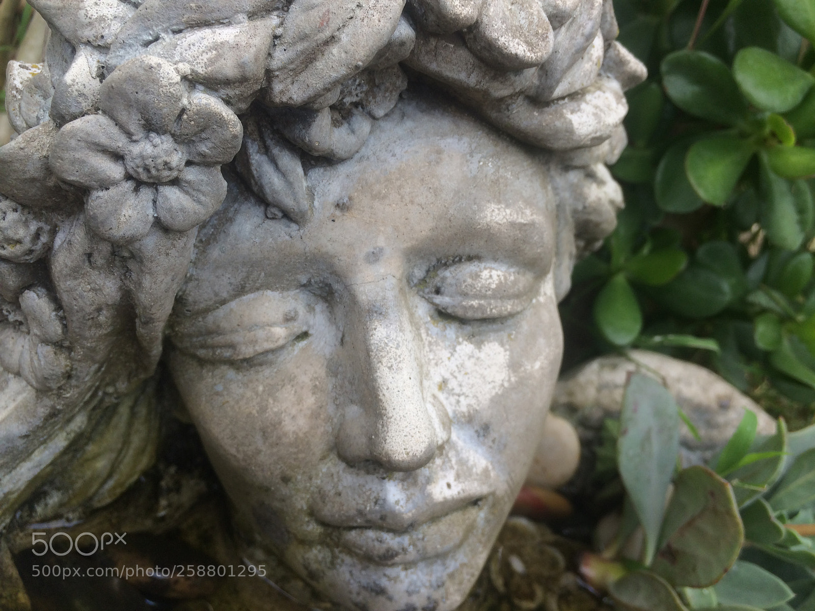 Apple iPhone 5s sample photo. Img photography
