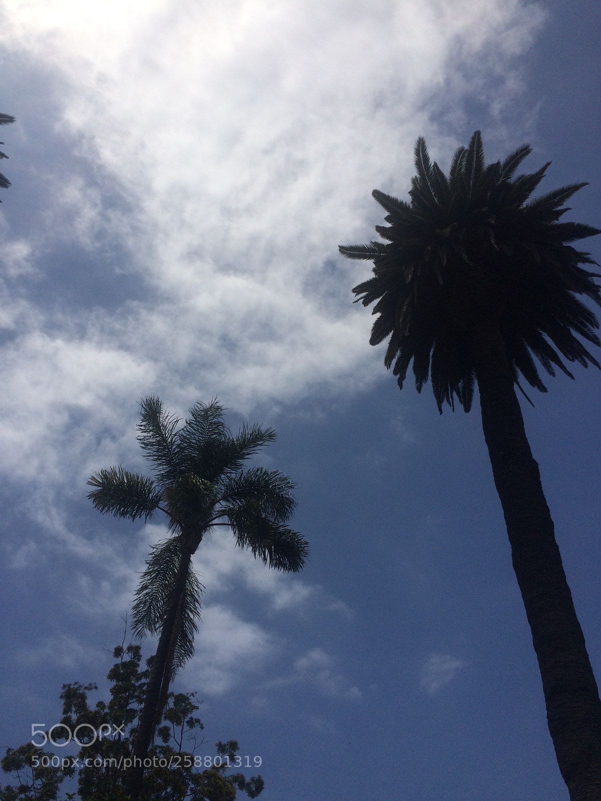 Apple iPhone 5s sample photo. Img photography