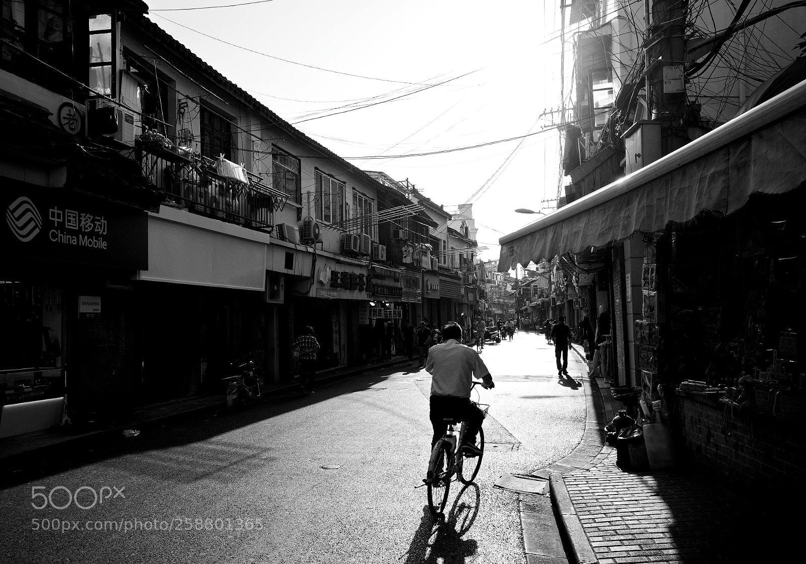 Ricoh GR II sample photo. Backlighting photography