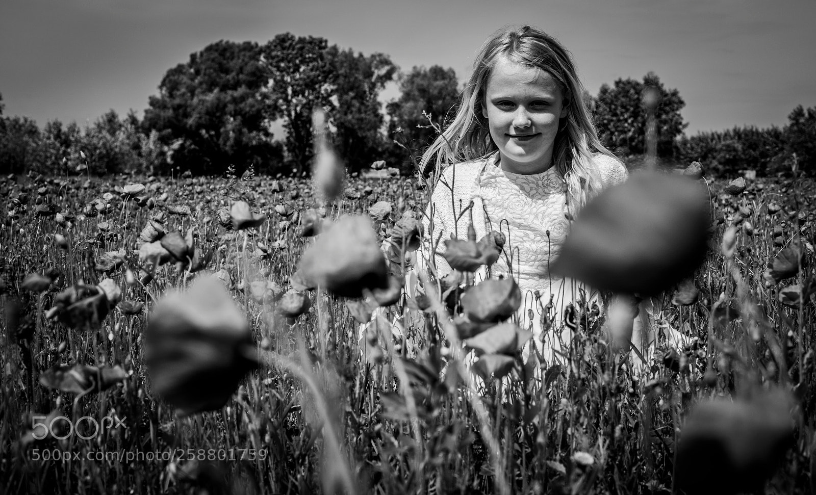 Canon EOS 5DS sample photo. Poppy fields portait photography