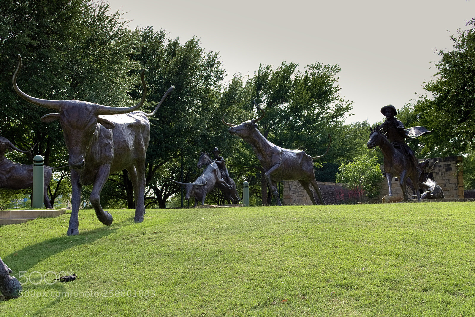 Canon EOS 750D (EOS Rebel T6i / EOS Kiss X8i) sample photo. Cattle drive photography